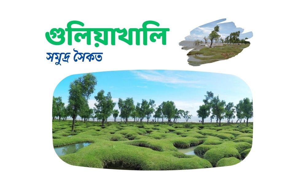 গুলিয়াখালী সমুদ্র সৈকত