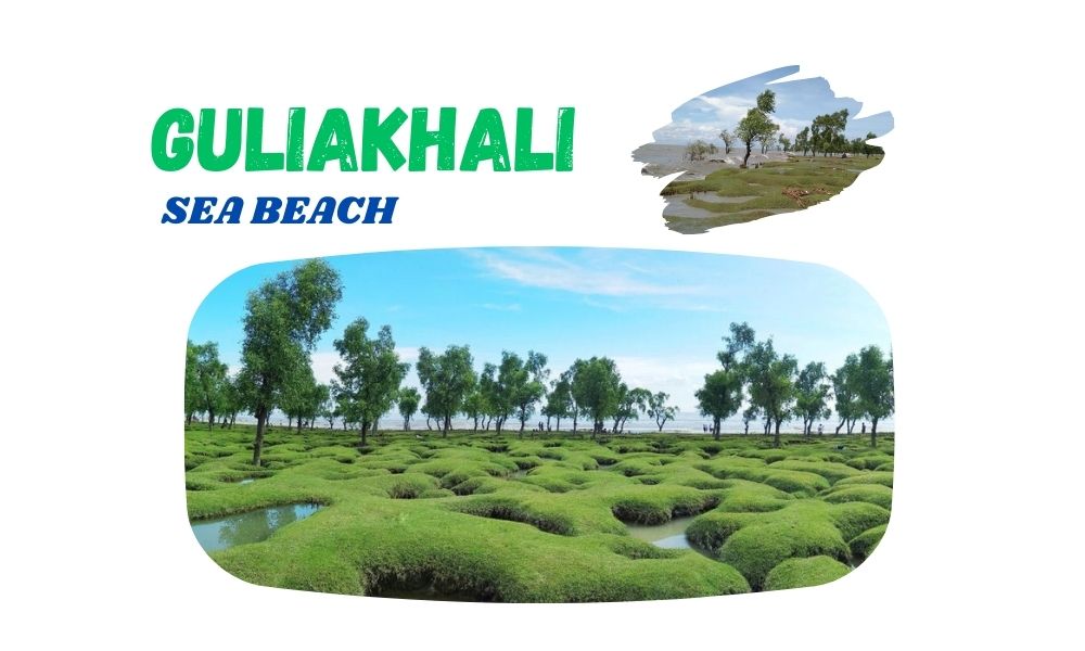 Guliakhali Sea Beach