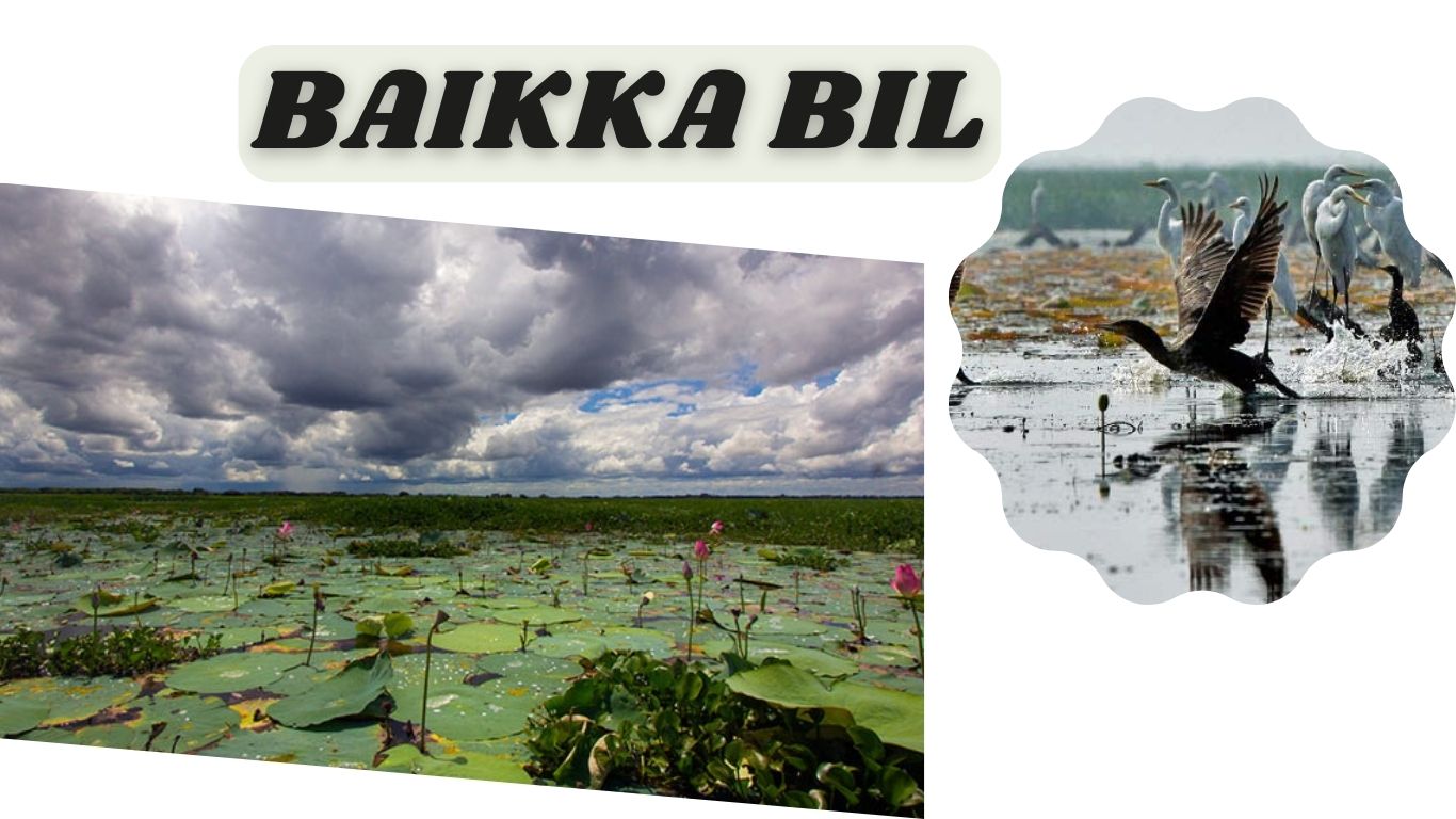 Baikka Bill