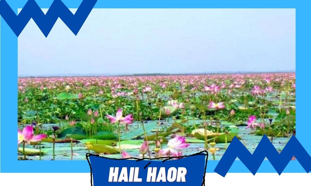Hail Haor