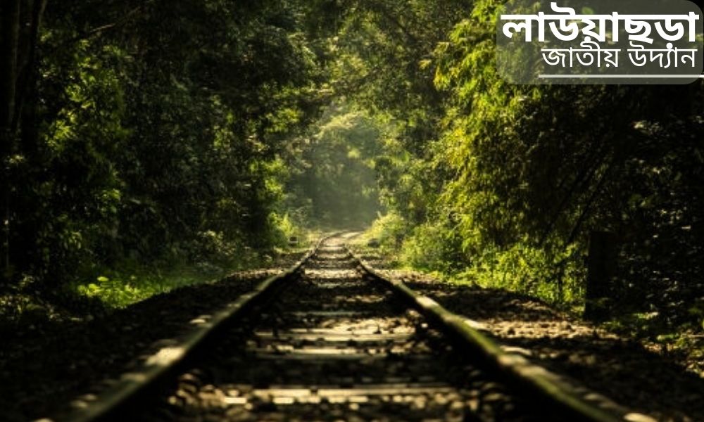 লাউয়াছড়া জাতীয় উদ্যান