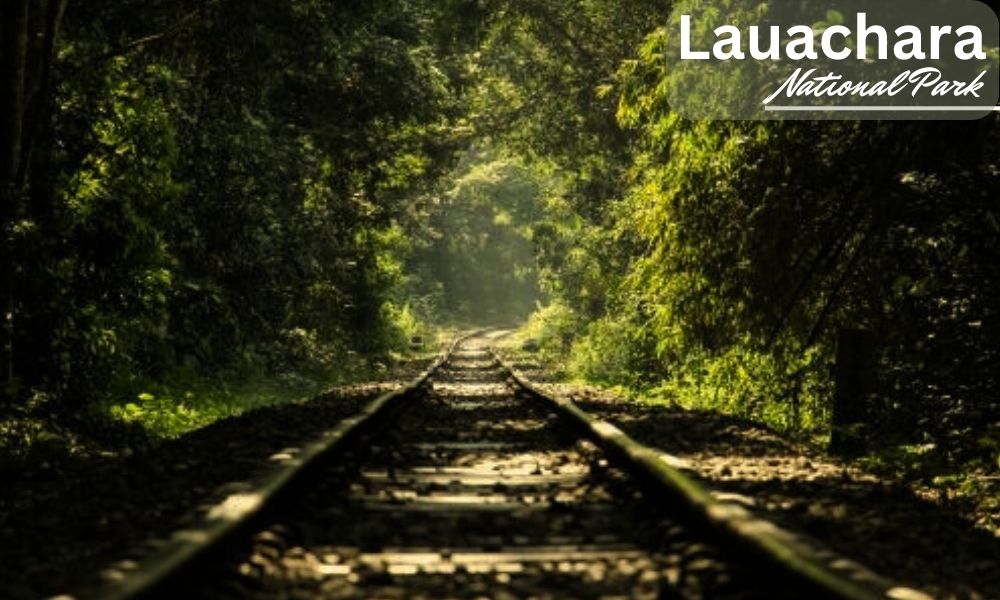 Lauachhara National Park