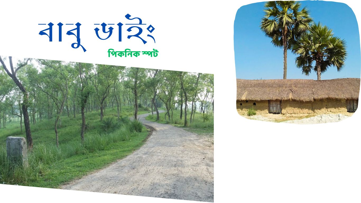 বাবুডাইং পিকনিক স্পট
