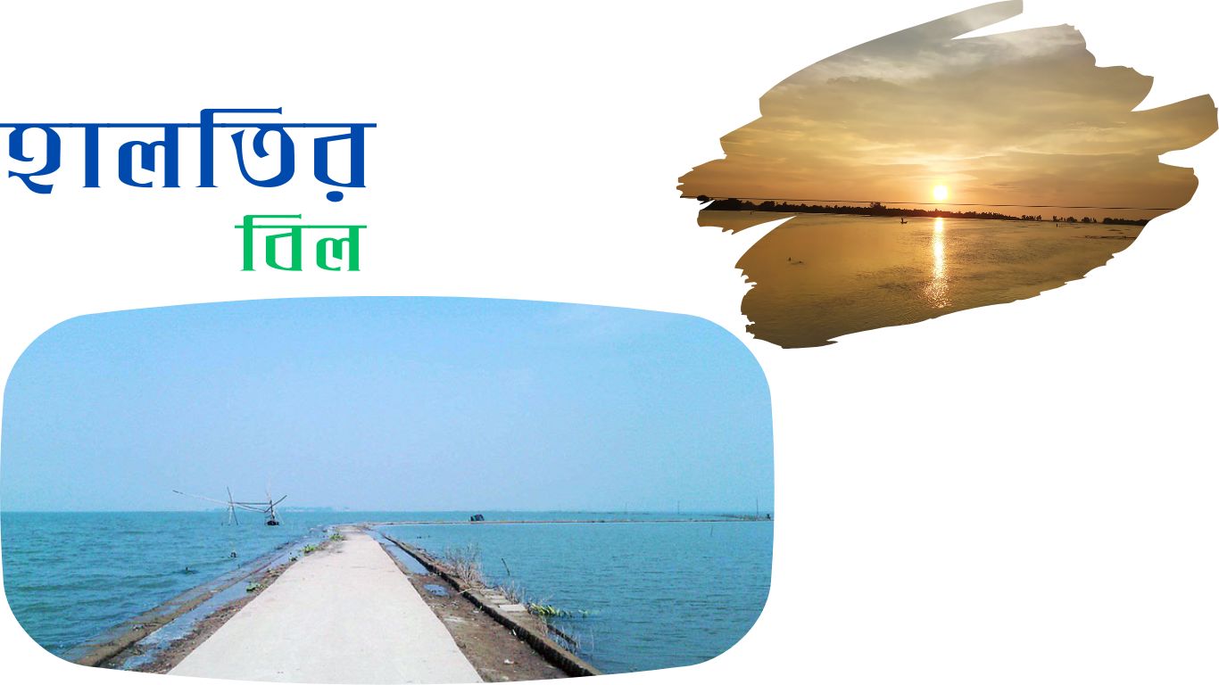 হালতির বিল