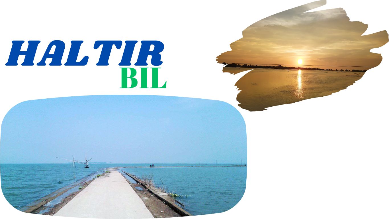 Halti Bill