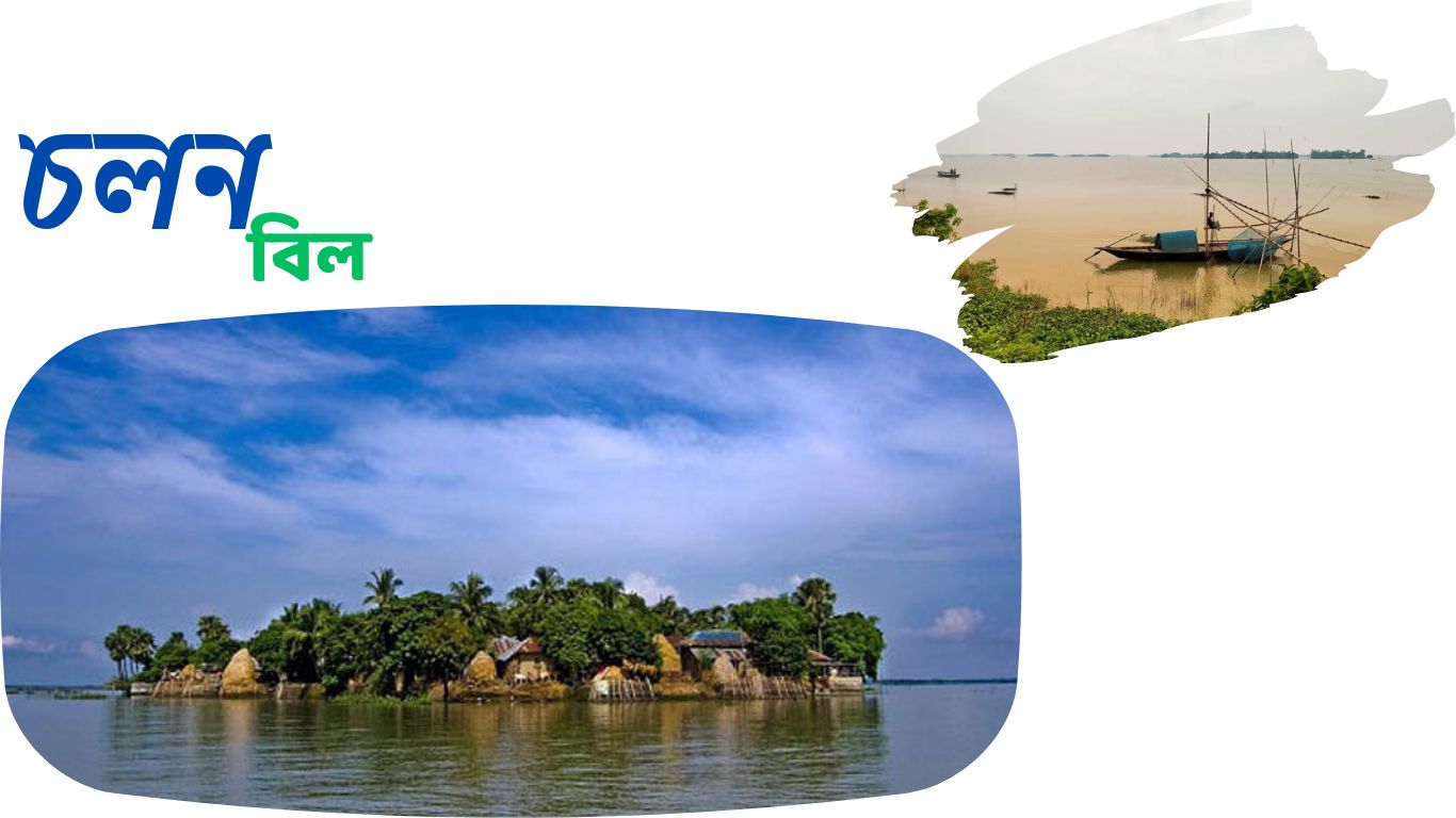 চলন বিল