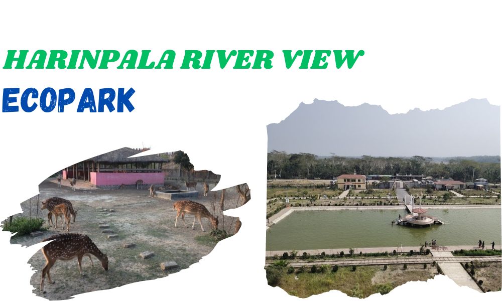 Harinpala River View Ecopark