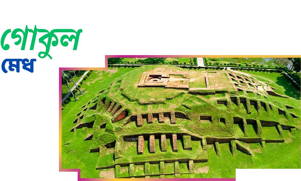 গোকুল মেধ