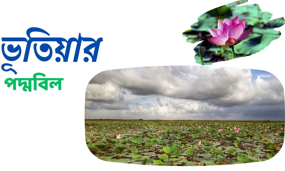 ভূতিয়ার পদ্মবিল