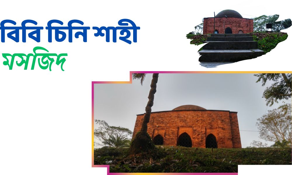 বিবি চিনি শাহী মসজিদ