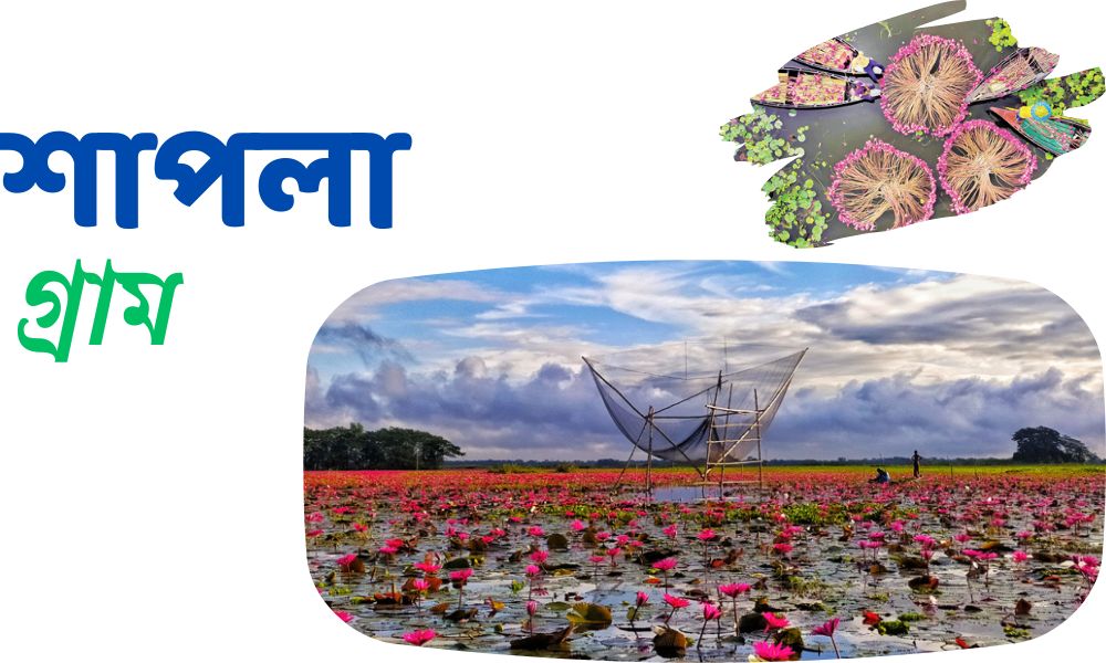 শাপলা গ্রাম