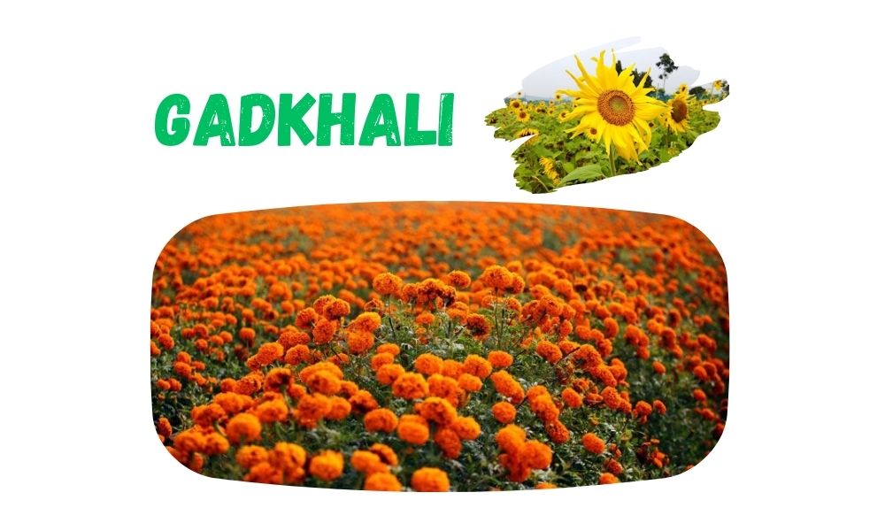 Gadkhali