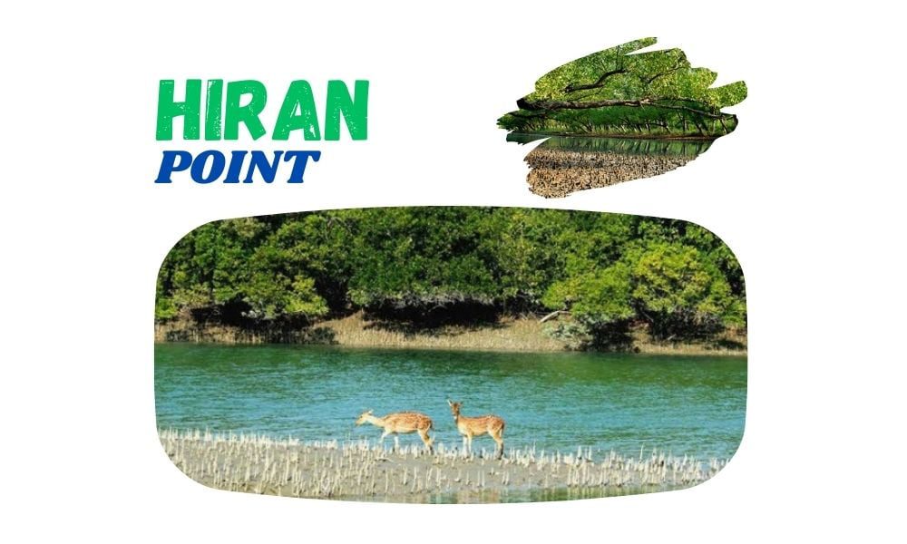 Hiran Point
