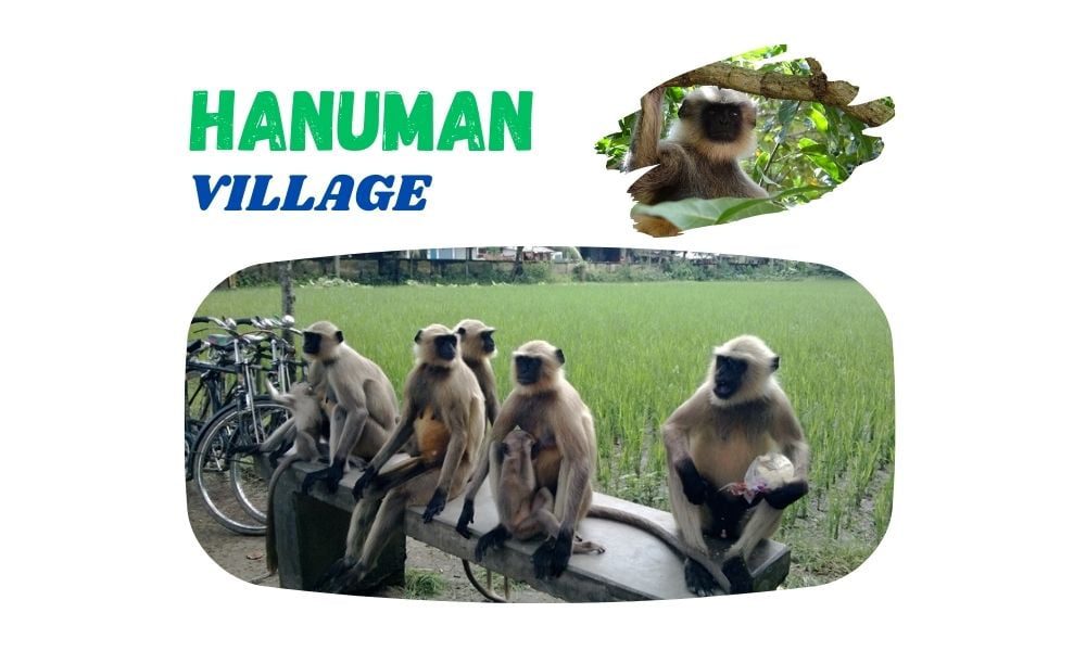 Hanuman Village