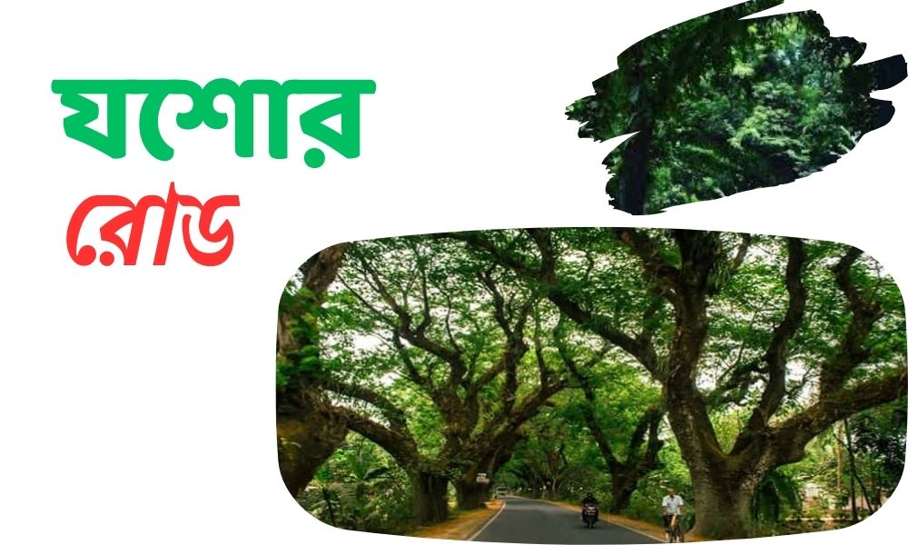 যশোর রোড