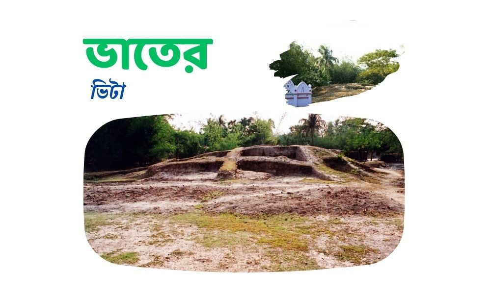 ভাতের ভিটা