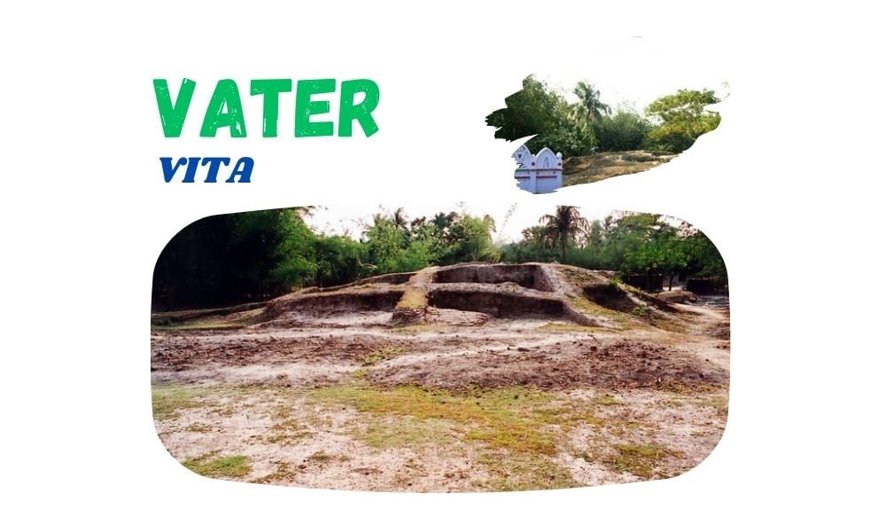 Vater Vita
