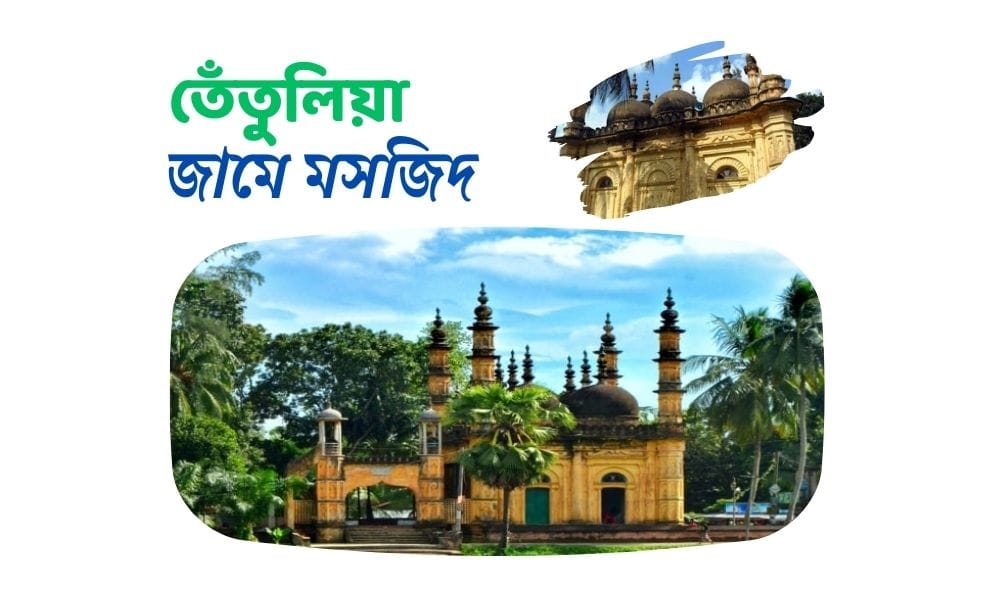 তেঁতুলিয়া জামে মসজিদ