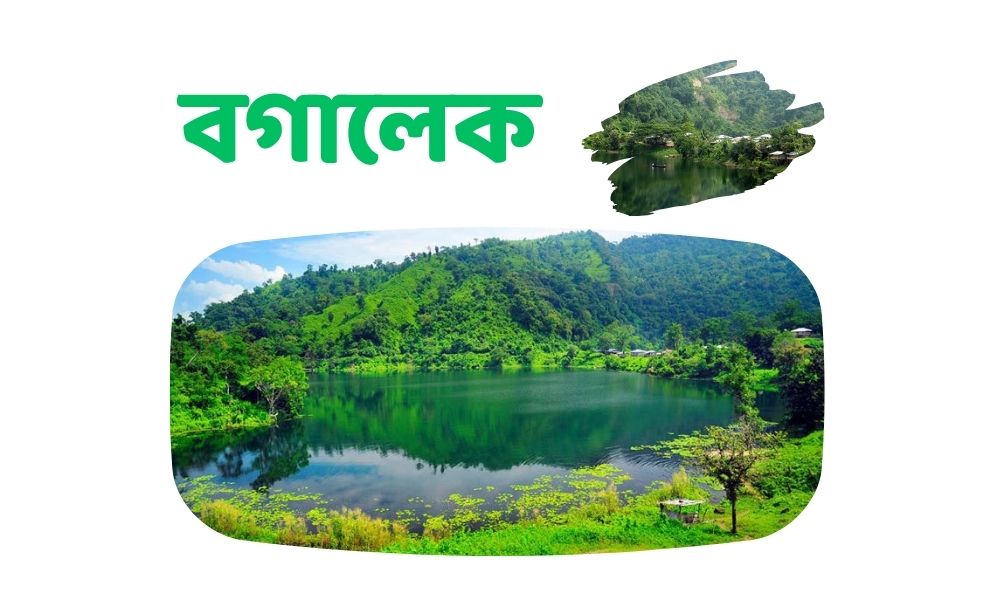 বগালেক