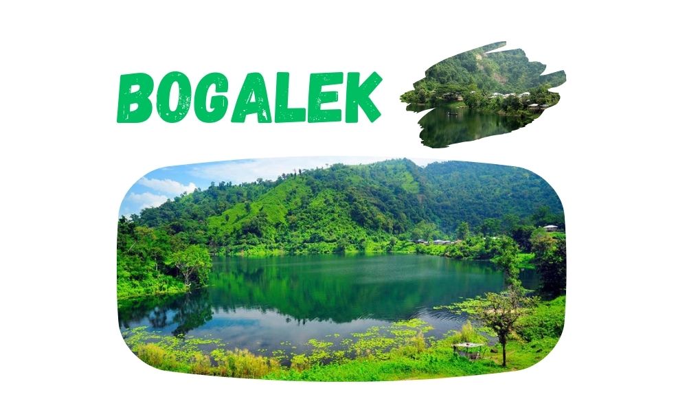 Bogalek
